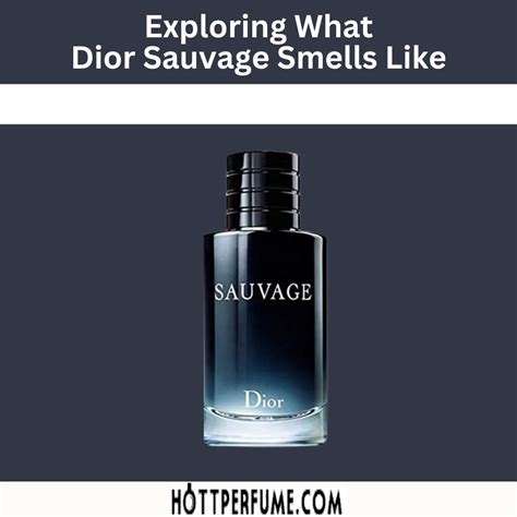 dior savage .|what does dior sauvage smell like.